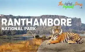 Golden triangle tour with ranthambore tiger safari by luxury Car,
Golden triangle tour packages india ranthambore with tiger safari,